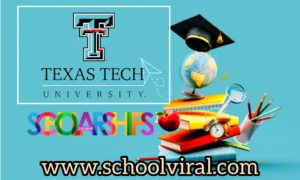 Texas Tech scholarships 