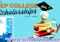 PEP Scholarship 2025/2026: How to Apply